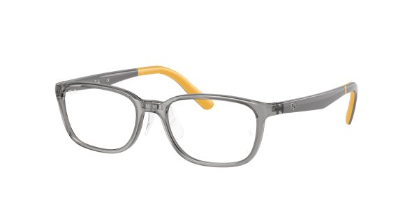 Ray-ban RY1617D