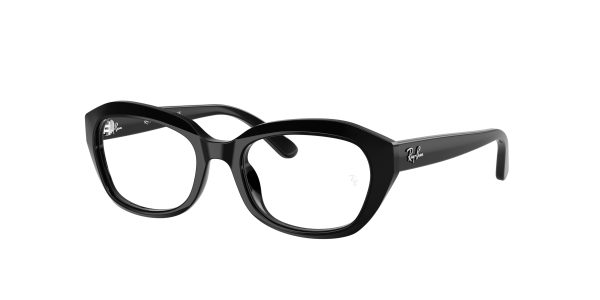 Ray-ban RY1636